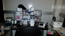 Live cell imaging microscope with full environmental control